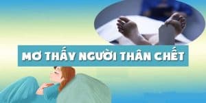 Nên đánh con gì khi mơ người nhà mất