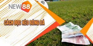 Cách Đọc Kèo Bóng Đá Tại New 88 Hướng Dẫn Từ A Đến Z